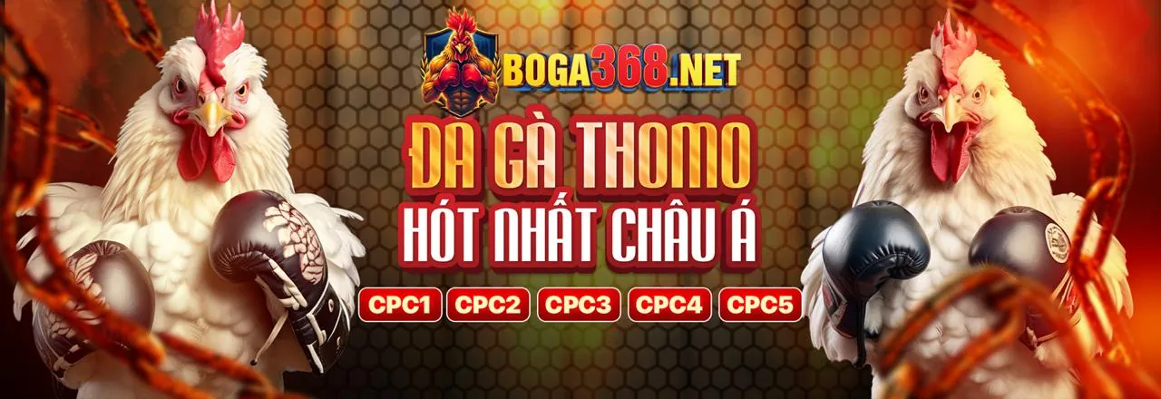 Banner quảng cáo các chương trình khuyến mãi đá gà độc quyền tại V6BET