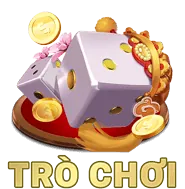 Biểu tượng giấy phép