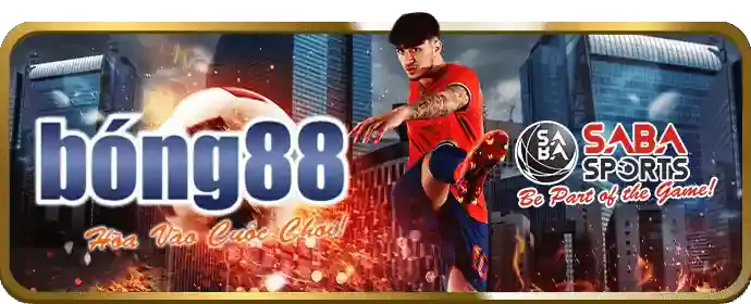 Cá cược có trách nhiệm V6BET